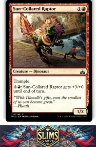 Magic the Gathering MTG Rivals of Ixalan Sun-Collared Raptor #118 Buy 2 Get 1 - Picture 1 of 2