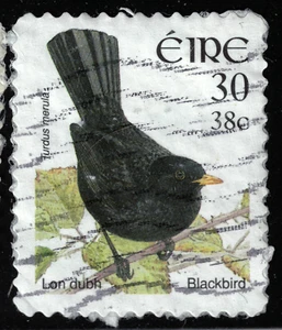 Ireland - 2002 - 38¢ - Birds - Turdus merula - #18086 - Picture 1 of 1
