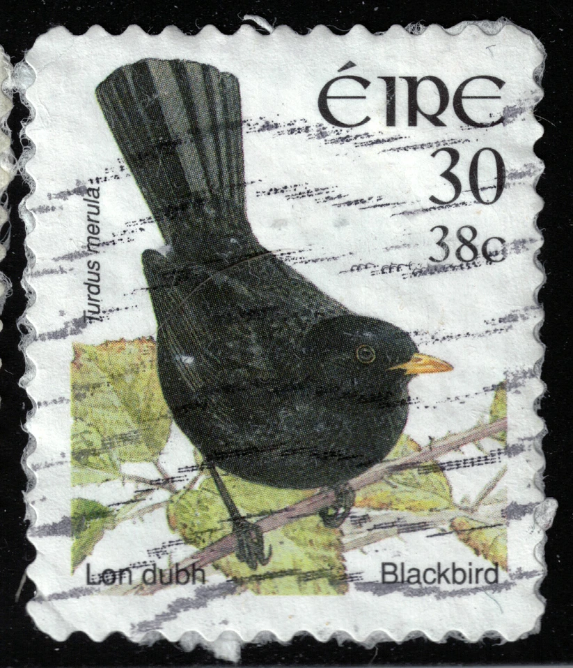 Ireland - 2002 - 38¢ - Birds - Turdus merula - #18086 - Image 1 of 1