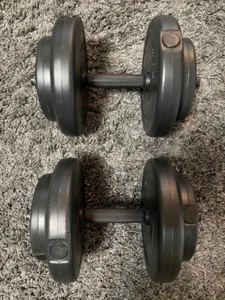 40 lbs Dumbbell Set 20 lbs Each Home Gym Workout Sturdy Weights Quality Fitness - Picture 1 of 6