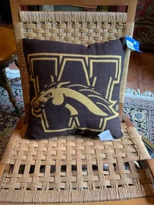 NWT- 20” By 20” Western Michigan University “Broncos” Tailgate Pillow-Go Broncos - Picture 1 of 6