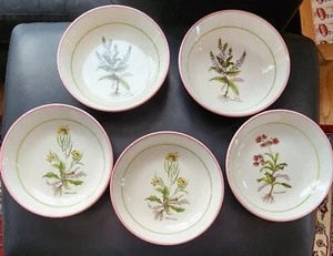 Vintage 5 Insalatiere Primula Zuppiere Bianche con Bordo Rosa Erboristeria Made In Italy 8,25" - Foto 1 di 7
