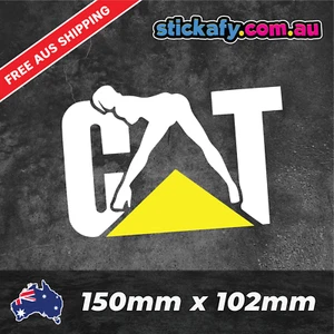 CAT Lady Sticker Funny Laptop Car Window Bumper 4x4 Ute Decal tradie 4wd - Foto 1 di 4