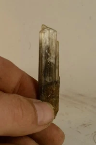 Cristal de Gypse 61x14mm La Unión Sierra de Cartagena Espagne gypsum - Picture 1 of 2