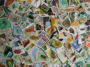 Topical hoard breakup 250 bugs, insects. Mixed condition, few duplicates - Picture 1 of 5