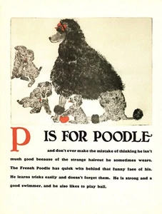 Arte de pared vintage con impresión de perro caniche letra P alfabeto impresión ABC 6258d - Imagen 1 de 1