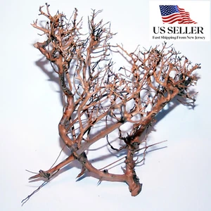 NATURAL DRIFTWOOD #BS004 WYSIWYG - AQUASCAPING, SUPER PRICE!!! BONSAI TREE DECOR - Picture 1 of 7