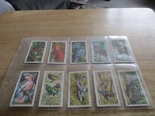 Tropical Birds Full Set By Brooke Bond Tea Black Back