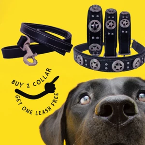 Shwaan Genuine Leather Dog Collar|Medium Size| Dog Neck Size| 13" - 17" inches - Picture 1 of 10