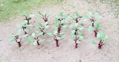 MP SCENERY 24 Rhubarb Plants N Gauge Model Farm Plants Railroad & Farm Layout - Image 1 of 4