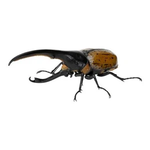 Bandai Gashapon Nashorn Käfer 07 Actionfigur Herkules Käfer Lichyi orange - Bild 1 von 5