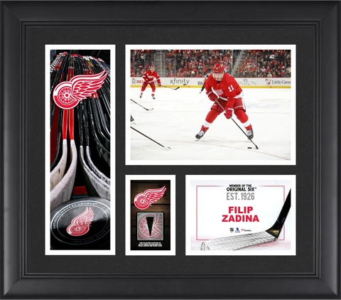 Filip Zadina Red Wings FRMD 15" x 17" Player Collage with a Piece of GU Puck Cover