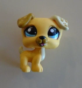Authentischer Littlest Pet Shop LPS Hund ~ Jack Russell 1496 - Bild 1 von 4