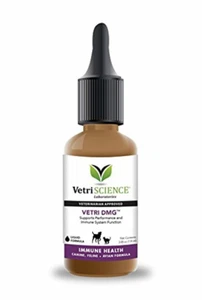 VetriScience Laboratories - Vetri DMG, Immune Support for Cats, Dogs and Birds - Picture 1 of 4