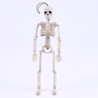 Jednorazowy szkielet Halloween Dekoracja Straszny mężczyzna Kość Przerażająca impreza DecoYEAY