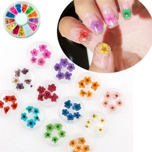 12 Colors Real Dried Flower UV Gel Nail Art 3D Acrylic Decor Manicure Wheel DIY - Picture 1 of 6
