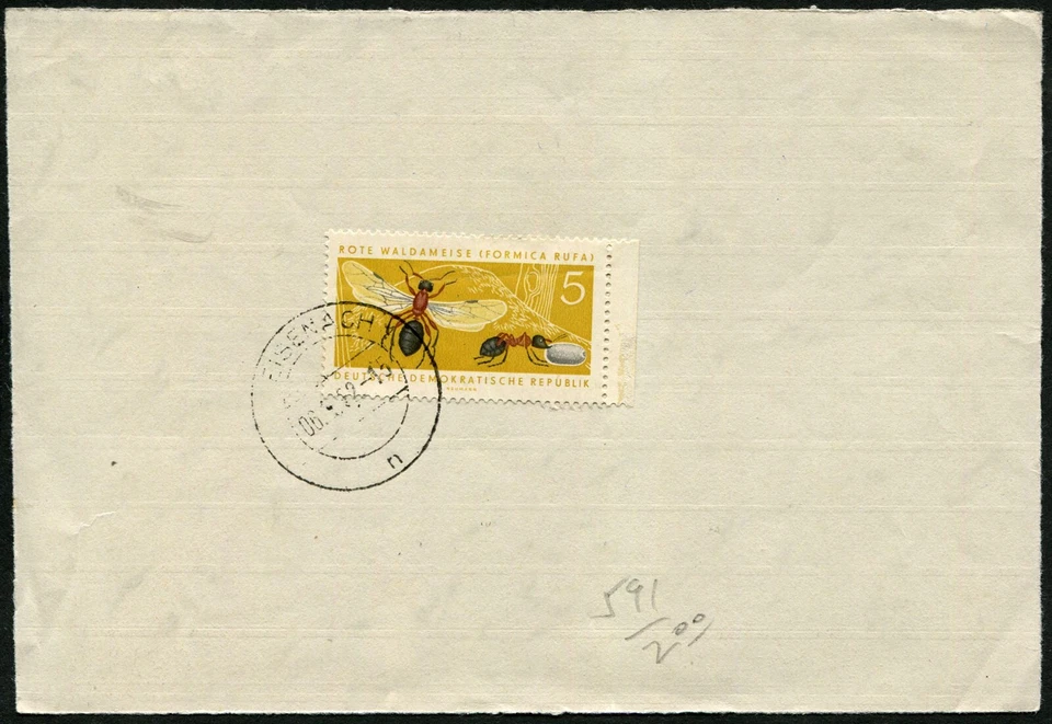 RDA Alemania Oriental 1962 Eisenach matasellos madera roja hormiga Formica Rufa 5pf franqueo Foto 1 de 1