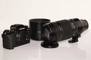 Dream-Team - Fujifilm X-T4 und XF 100-400 - für Action- und Wildlifefotografie - Bild 1 von 5