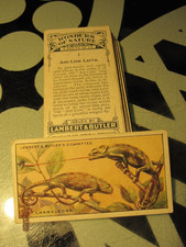 LAMBERT& BUTLER '' WONDERS OF NATURE 1924'' FULL VG SET/25