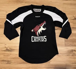 Vintage Reebok Arizona Coyotes Hockey Clinic Wayne Gretzky Jersey Youth S/M - Picture 1 of 5