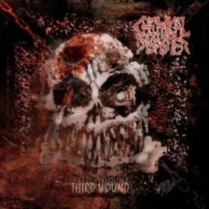 Chemical Disaster - Third Wound CD #68454 - Imagen 1 de 1