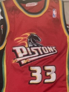 Champion Detroit Pistons Grant Hill #33 NBA Basketball Jersey Vintage Teal L - Picture 1 of 3
