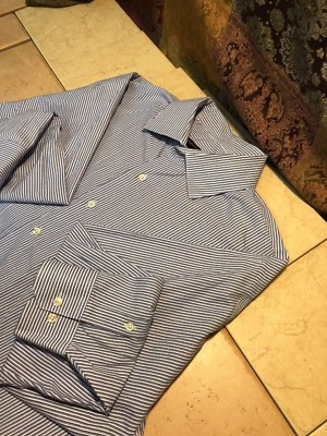 Camisa de vestir Geoffrey Beene para hombre XL 17.5 32/33 azul a rayas manga larga con botones Foto 1 de 4