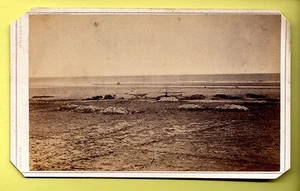 CDV - Redcar Beach, Industrial Activity / Fishing - Oddchild - Redcar - Picture 1 of 2