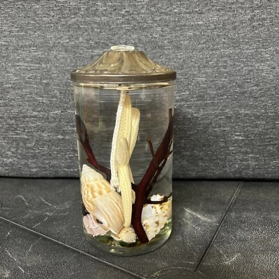 Lifetime Candles White River Designs Seashell Large Cylinder Oil Candle. - Изображение 1 из 4