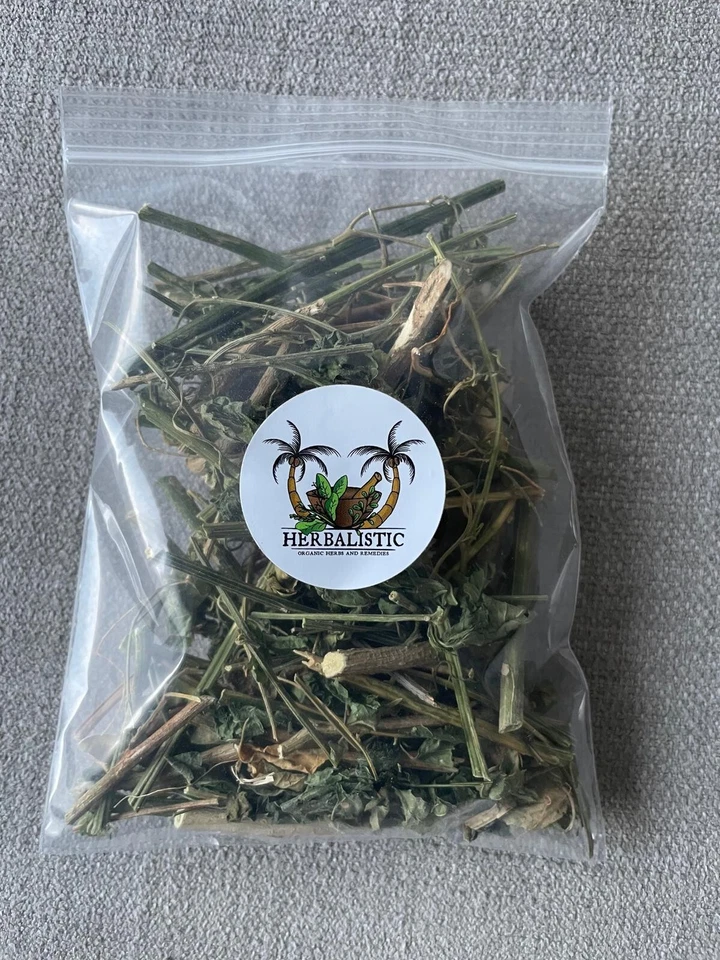 HERBALISTIC Dog Blood Bush (Rivina Humilis) - Jamaican Natural Herb