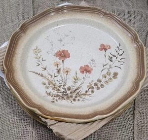 Mikasa Whole Wheat Jardiniere Dinner Plates (Set of 4) E8016 Japan VTG 11"  - Picture 1 of 7