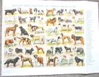 DOGS TYPES HOUSE HUNTING WOKING ADMIRAL COMPANIONS c 1950 FOLD OUT PRINT