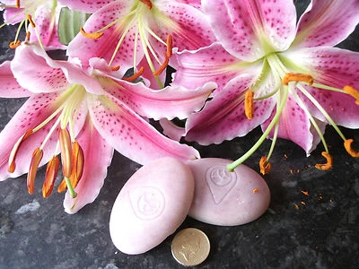 HANDMADE SOLID HAIR CONDITIONER WITH HIBISCUS,AVOCADO OIL,OAT PROTEIN+VITAMINS - Image 1 of 4