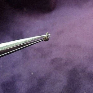 New ~Longines Caliber 30CH Chronograph Case Screw 4.4mm Long -2.2mm Head - Picture 1 of 3