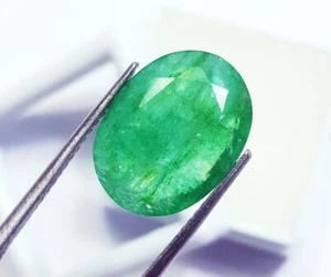 Oval Shape Muzo Colombian Natural Emerald 7.40 Ct Certified Loose Gemstone - Picture 1 of 6