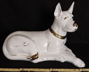19" Capodimonte Doberman ~ Made in Italy ~ Giant ~ Stunning & Basically Perfect! - Picture 1 of 21