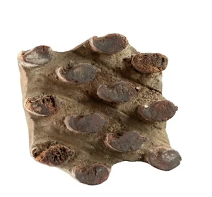 Tampon Batik Ancien Indien en Bois - Vintage, Unique Inde #5733 - Picture 1 of 4