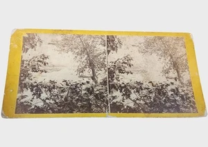 Antique Stereoview Card 2D Mill Dam Falls Little Falls NY By E.&H.T. Anthony - Picture 1 of 3