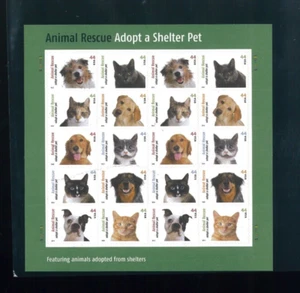 Stati Uniti 44¢ Adottare un rifugio Pet francobollo #4451-60 foglio MNH - Foto 1 di 1