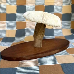 Scultura fungo corallo MCM con stelo in legno alla deriva e base in legno - Foto 1 di 8