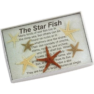 2 Legend of the Starfish Boxen (2 Boxen) - Bild 1 von 1