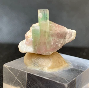 Natural Bi-Color Tourmaline Crystal – 25.35 Ct with Matrix – From Afghanistan - Picture 1 of 14