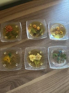 Vintage Acrylic Raised Coasters With Dried Flowers - MCM Set Of 6 - Picture 1 of 13