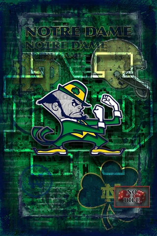 NOTRE DAME FIGHTING IRISH Poster Notre Dame NCAA Football Print Free Shipping Us Cover