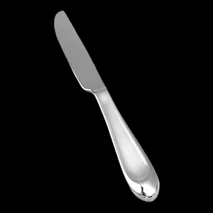 Oneida OHS506 Stainless Silverware Satin Handle Glossy Tip Flatware Dinner Knife - Picture 1 of 4