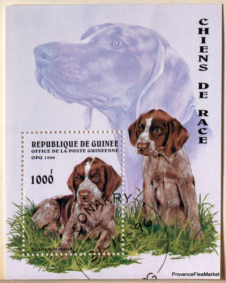 GUINEE    Bloc feuillet  sur les CHIENS , Canidé   14M1 - Photo 1/1