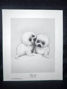 Ruth Morehead "Harp Seals" Cute Open Edition Lithograph - Picture 1 of 2