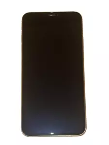 iPhone XS Max (256GB) | Dopamine JB | iPogo Spoofing Ready | Sileo Ready | - Picture 1 of 2