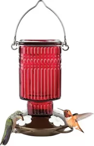 Alimentador colgante de vidrio para colibríes 22 onzas - Imagen 1 de 4