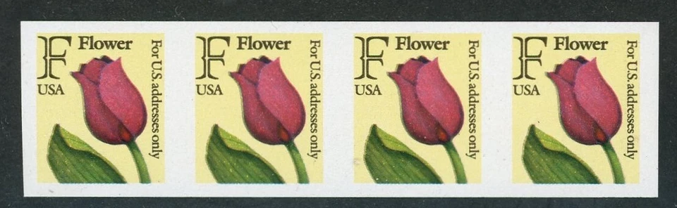 USA #2518 "F" Stamp Flower Coil Strip of 4 IMPERFORATE XF MNH Error - Image 1 of 1